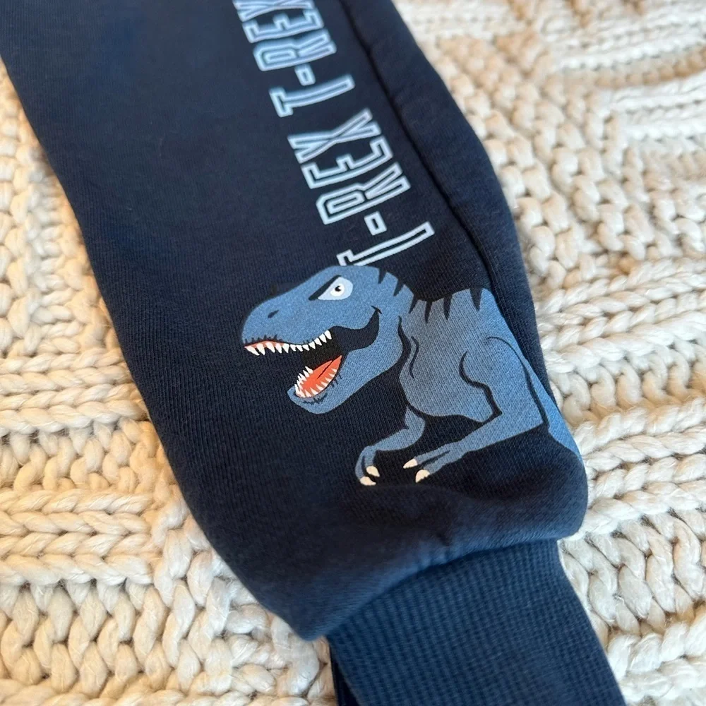 H&M T-Rex Dinosaur Blue and Gray Sweatshirt and Pants Size 3T